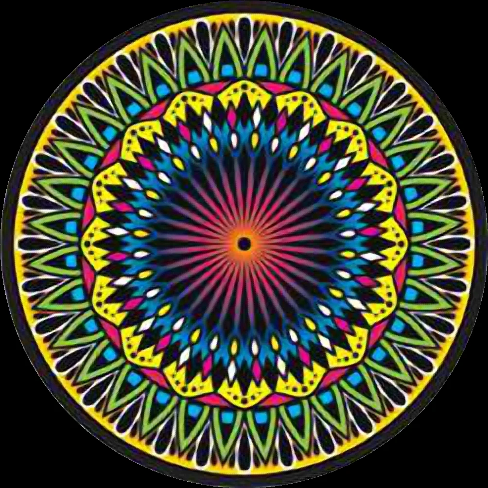 Arte 355